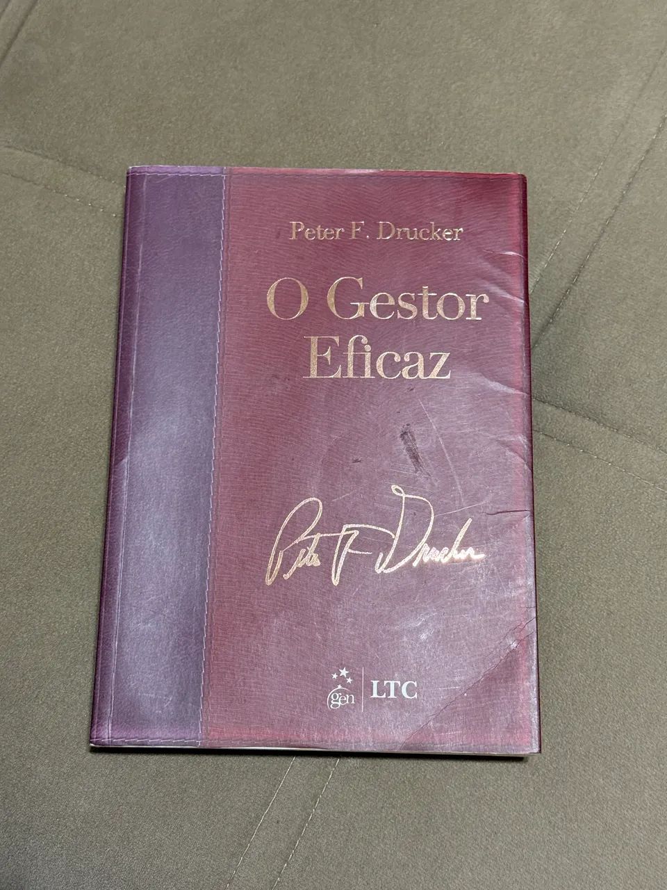Livro - O gestor eficaz