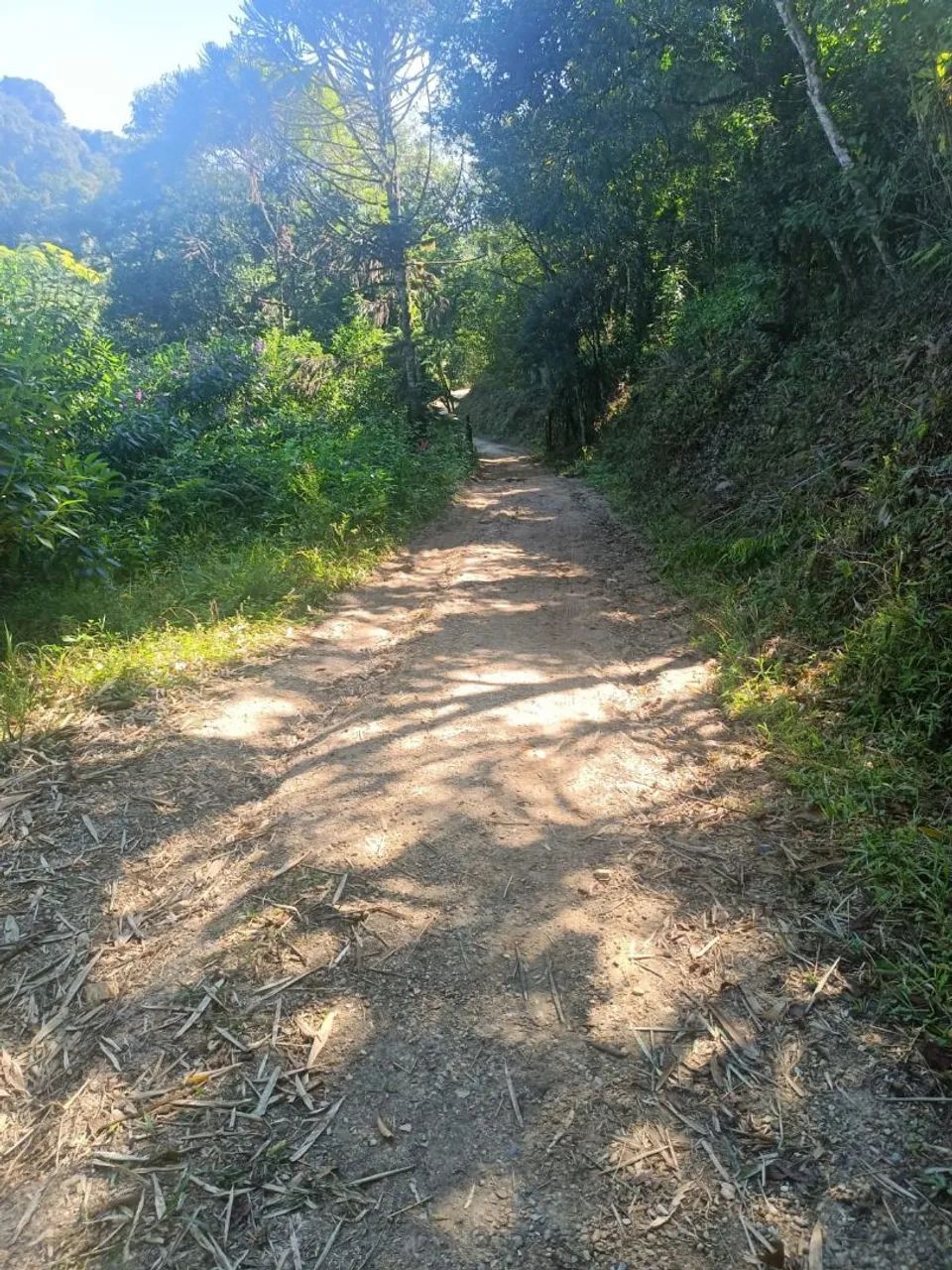 Sítio  - Foto 4