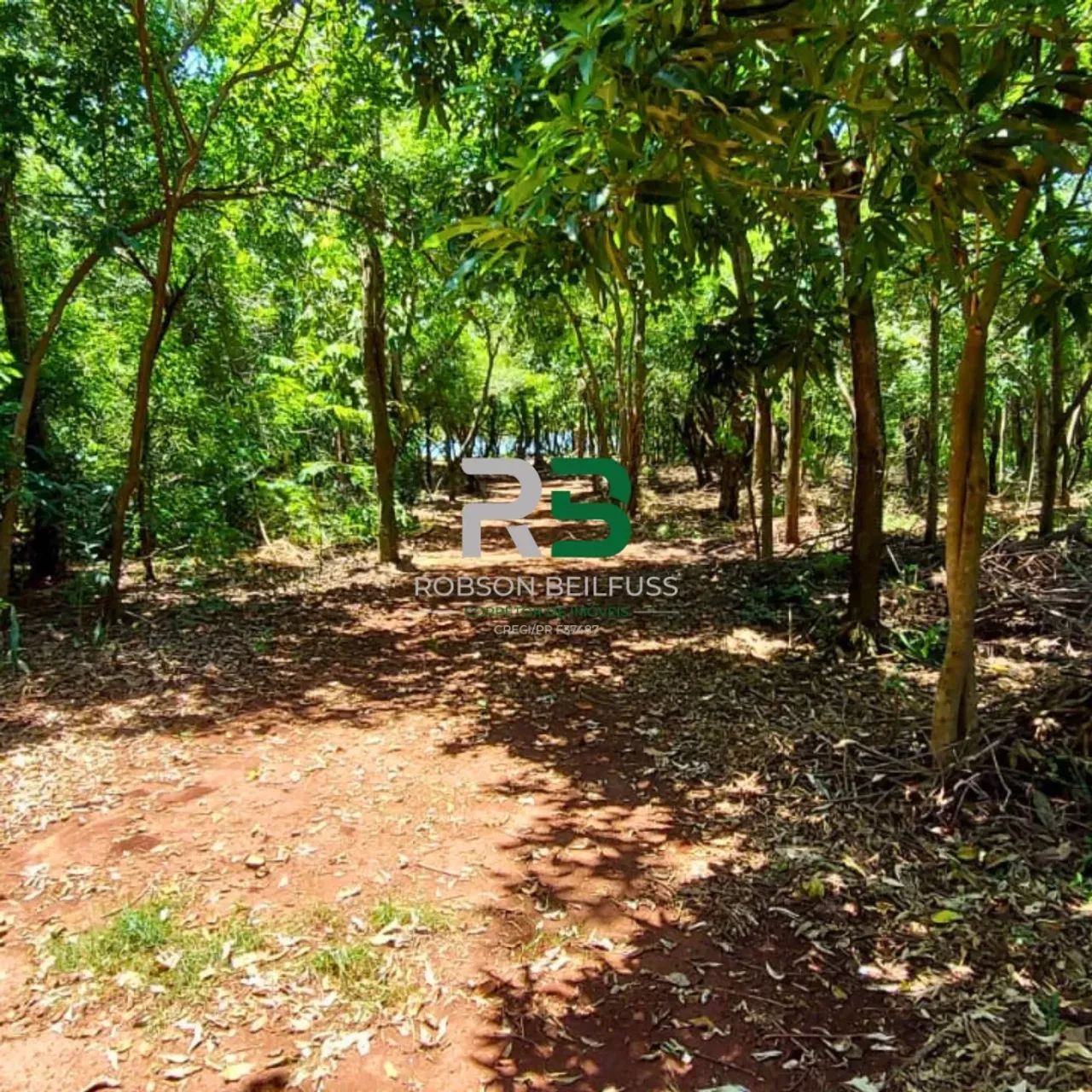 VENDE-SE CHÁCARA ENTRE SERTÁNOPOLIS E SERTANEJA - Foto 5