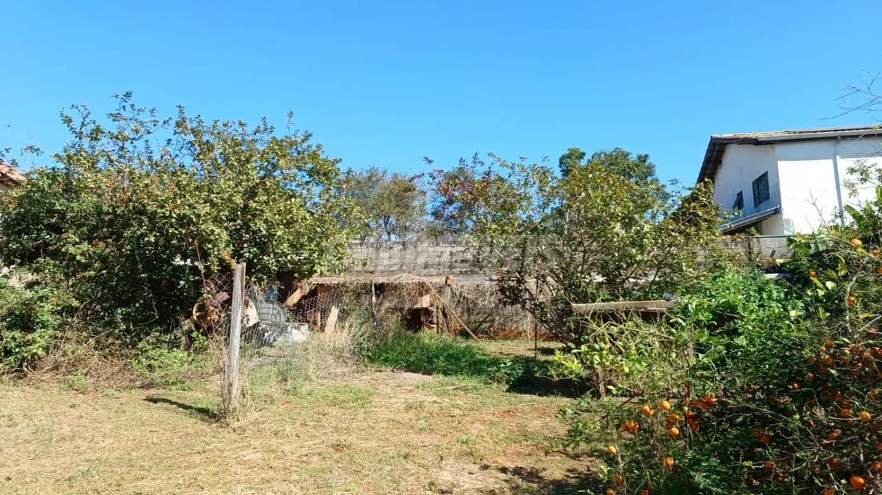 terreno - Chácara Primavera - Campinas - Foto 5