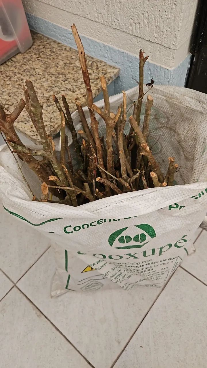 Poleiros Naturais  - Foto 2