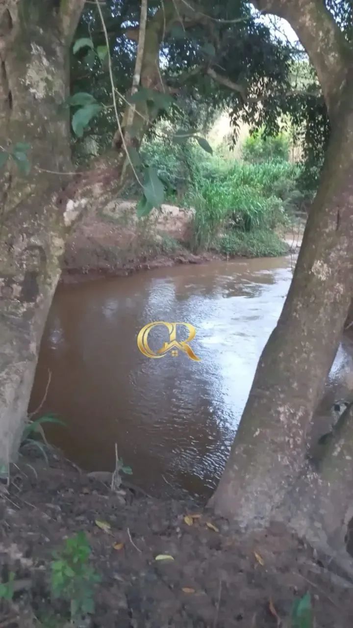 Chácara em Cristianópolis - 2.5 alqueires - Foto 5