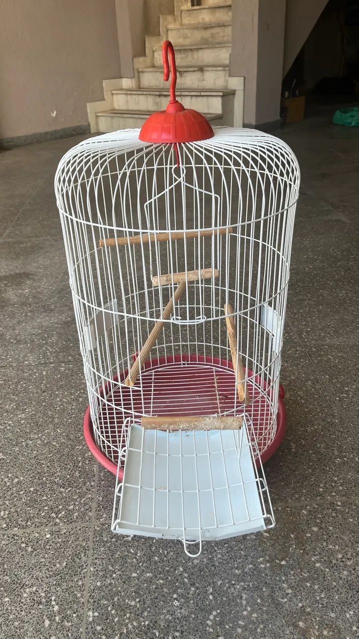 Gaiola piu piu - Foto 4