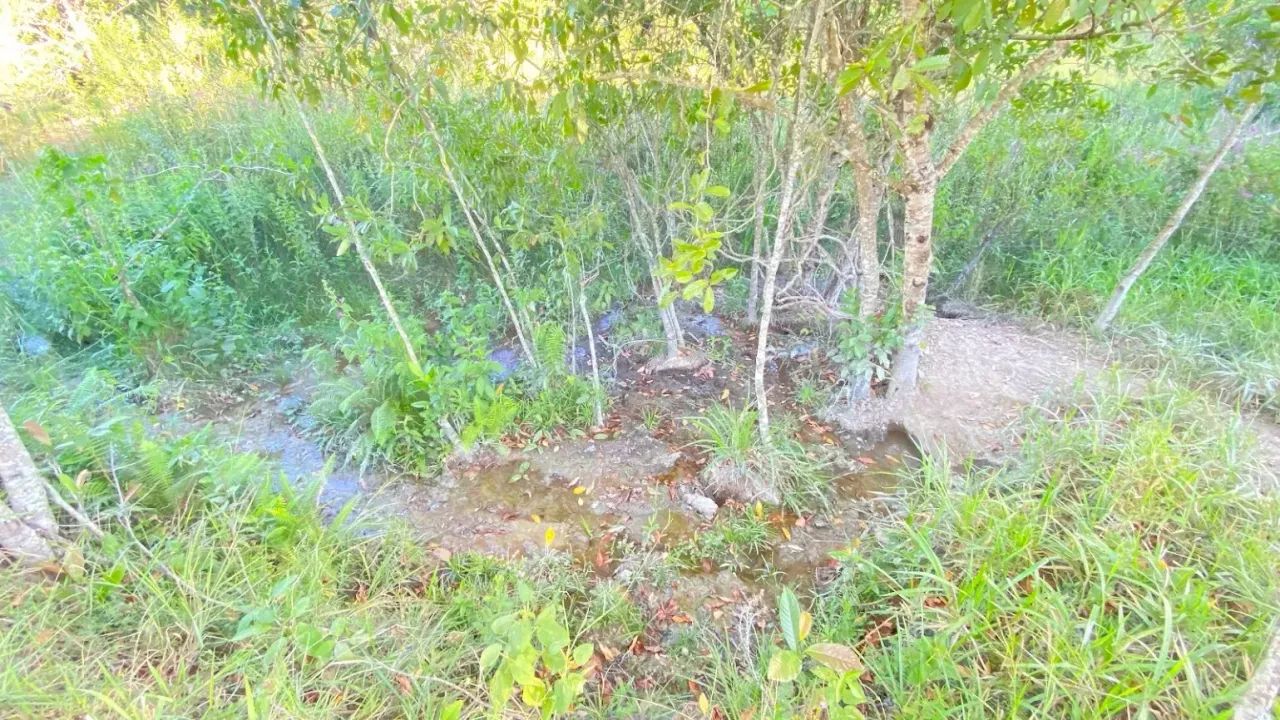 Fazenda em Aragoiânia, 15,8 hectares, 1km do asfalto, 10 km do centro de Aragoiânia, excel - Foto 3