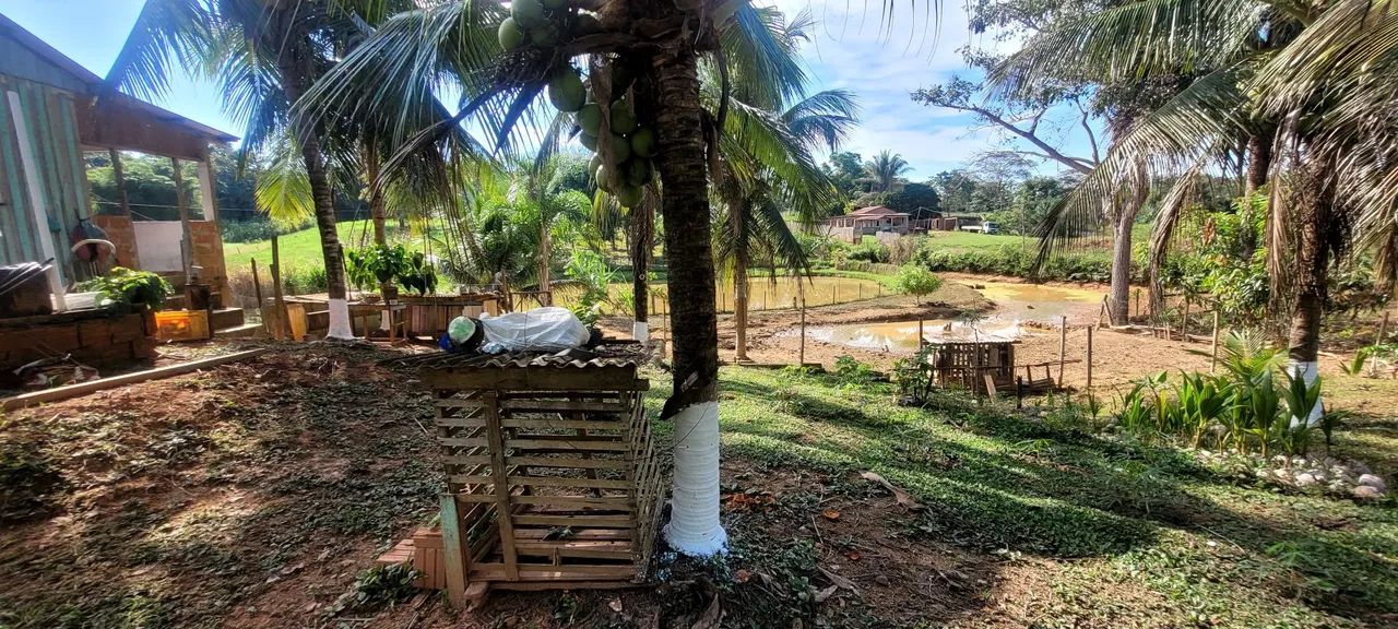 Chácara à venda ou troca em Porto Acre<br>Valor: 85 - Foto 5