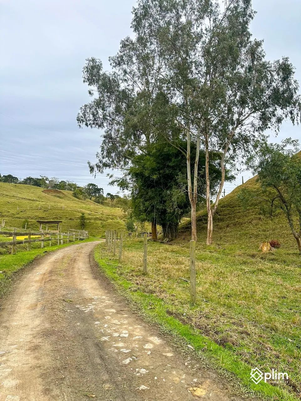 Sítio de 3,8 hectares  Bom Retiro, Serra Catarinense - Foto 5