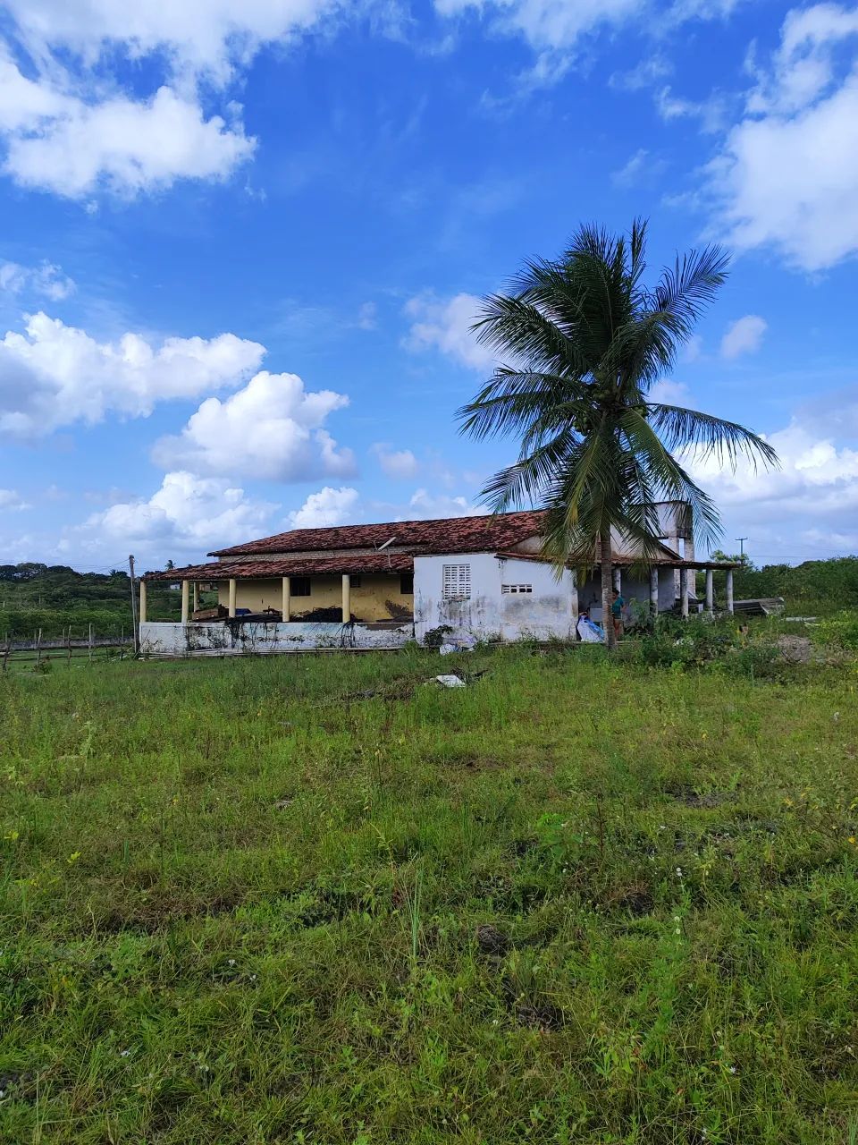fazenda com 40 hectares em vera cruz-RN - Foto 2