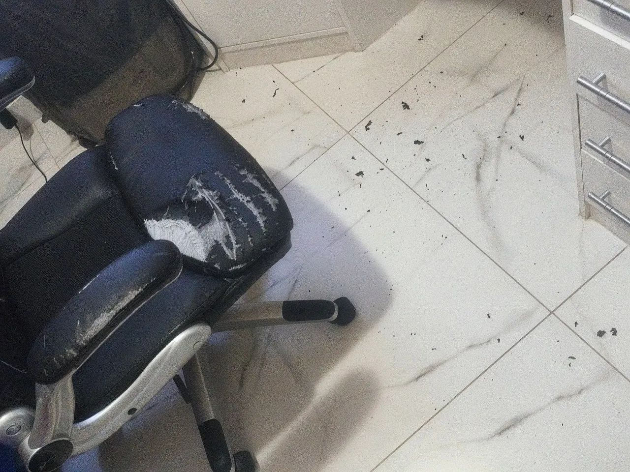 Cadeiras Escritório  - Foto 2