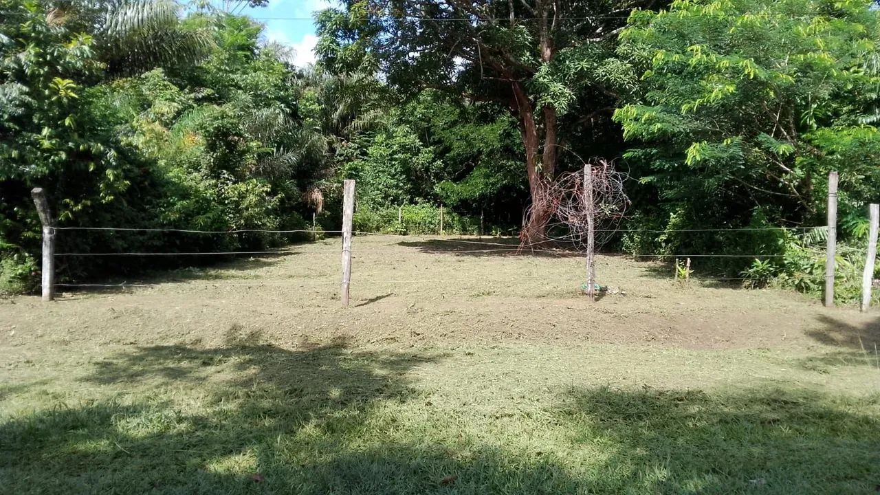Venda de Terreno - Ilha de Cotijuba