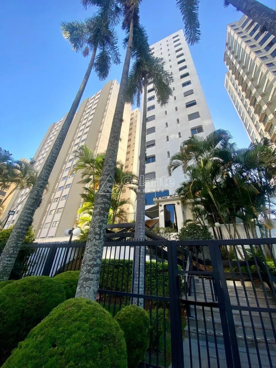 apartamento - Jardim Proença - Campinas
