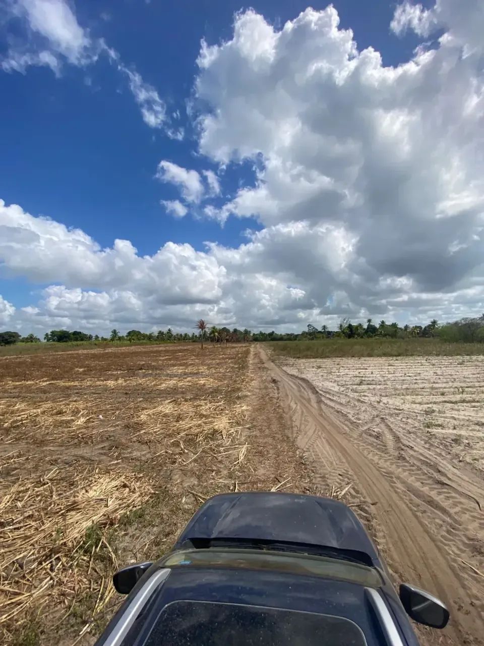 Excelente terreno Rural no Engenho Pitanga, em Igarassu, 4,5ha (123m X 366m) - Foto 8