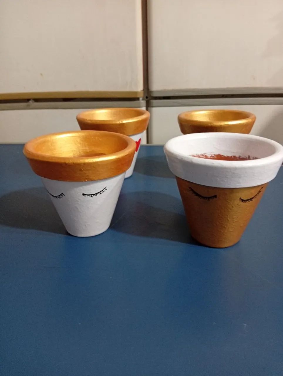 Vasos para suculentas 