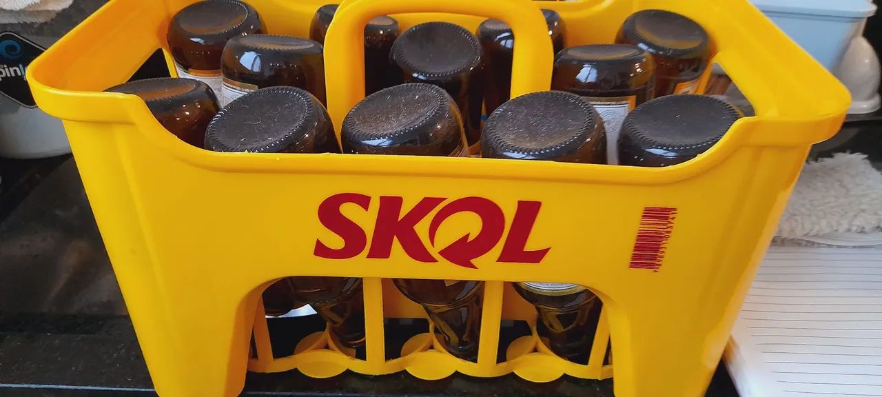 Engradado Skol com alça 