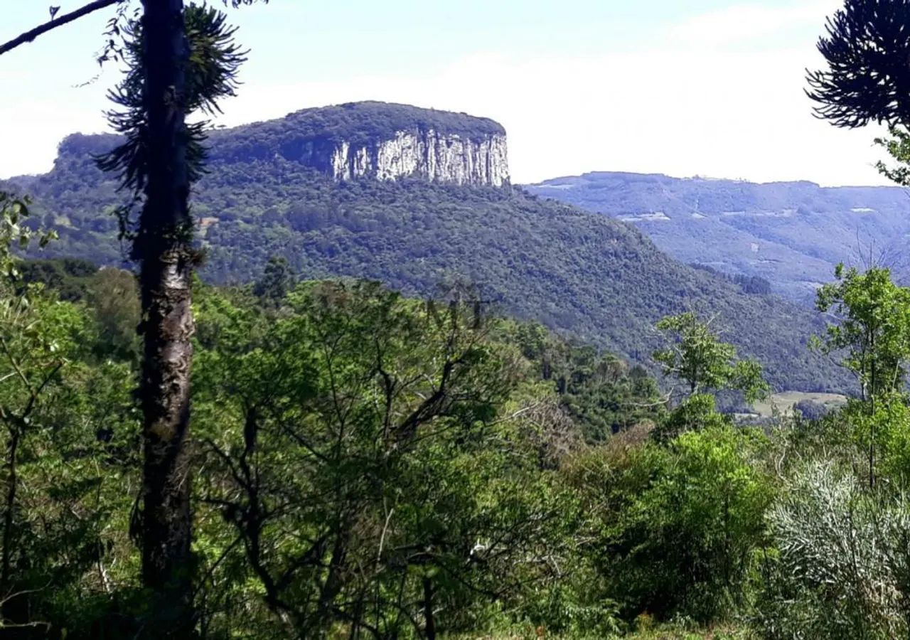Área de terra a venda em Nova Petropolis.RS Ref.:20 - Foto 4
