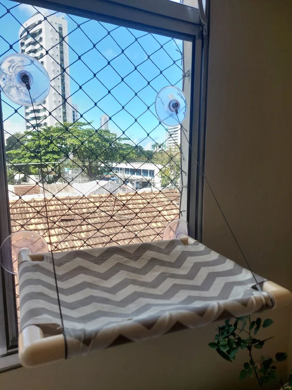 Caminha para gatos  - Foto 5