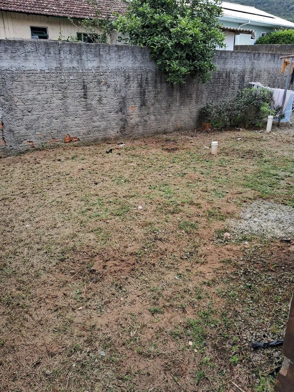 Trabalho com Jardinagem e Poda de Árvores  - Foto 3