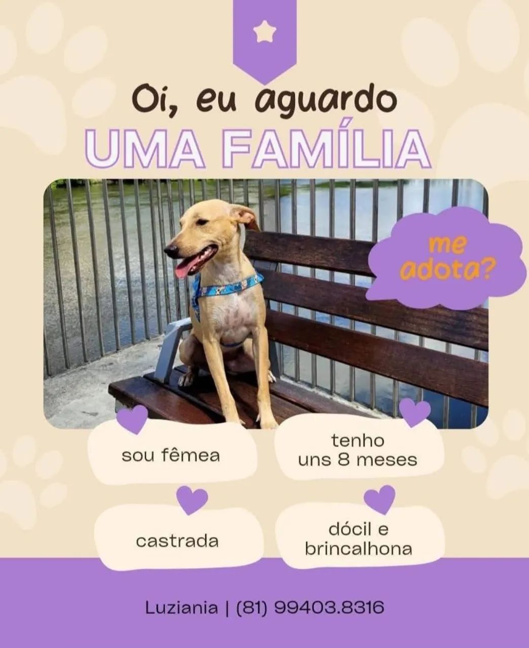 Para adoção responsável 