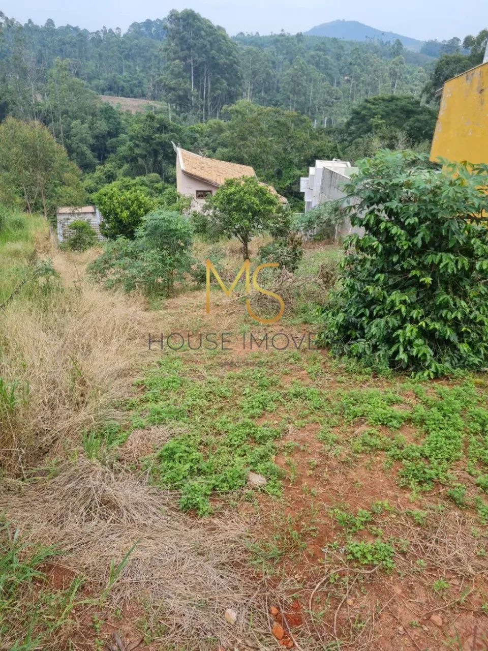Terreno para venda, Nova Caieiras, Caieiras - Foto 3