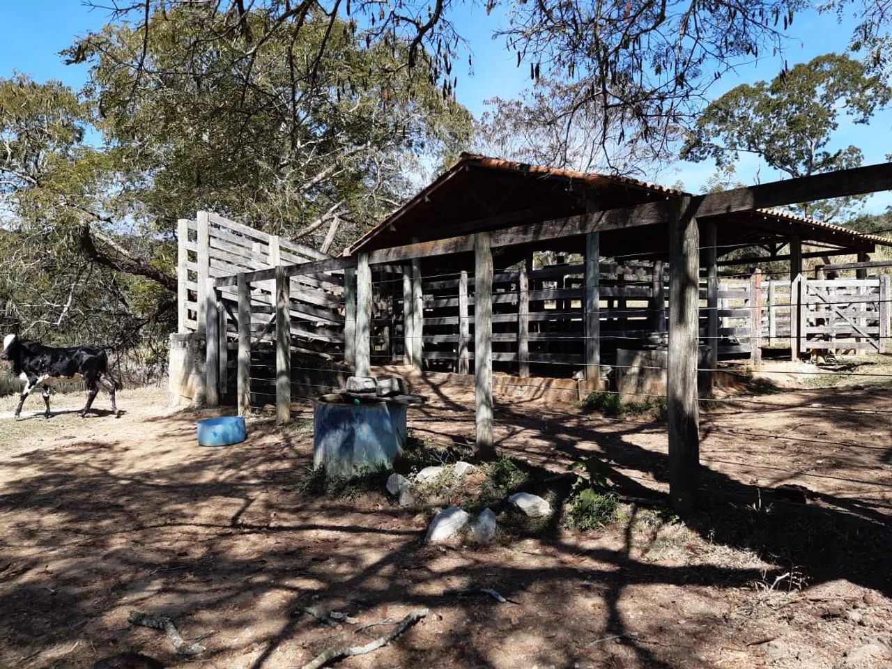 Fazenda perto de Belo Horizonte  - Foto 2