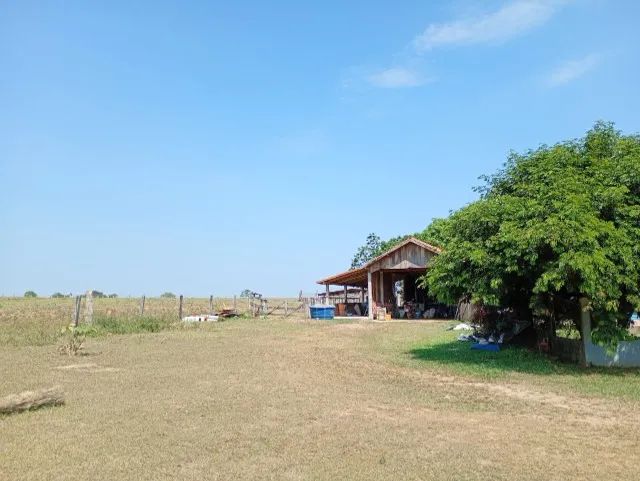 Lindo Sitio com 64 Alqueires em Parecis - RO - Foto 5