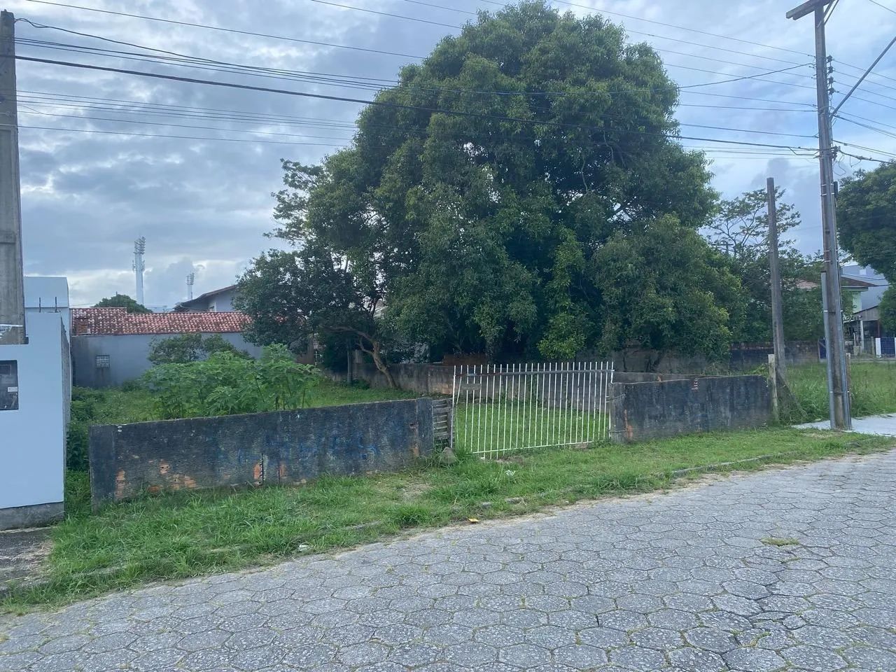 Terreno para Venda em Florianópolis, Carianos - Foto 2