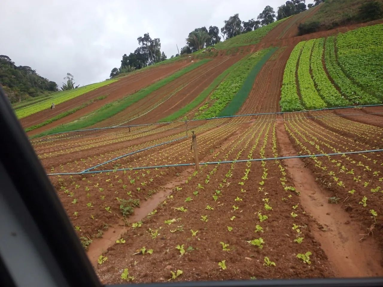Sítio marechal floriano 64 mil metros  - Foto 4