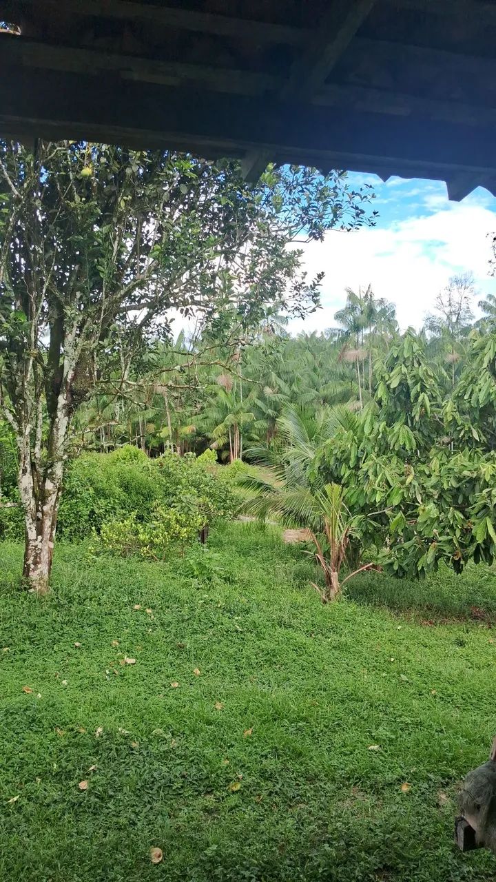 Terreno Benevides oportunidade 
