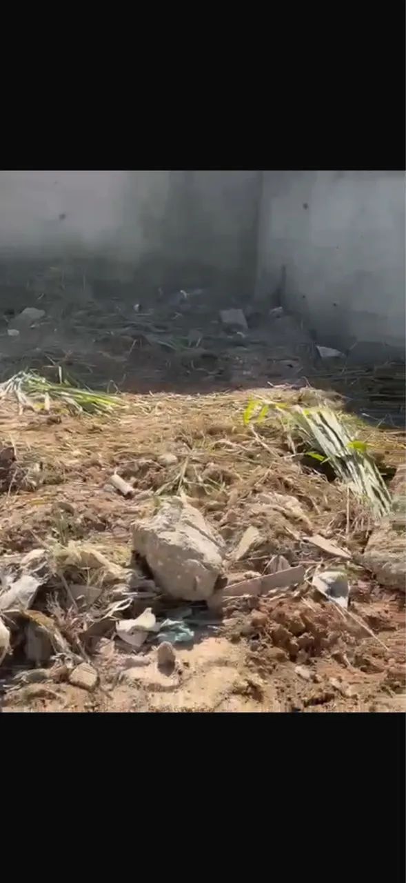 Terreno em vargem pequena 