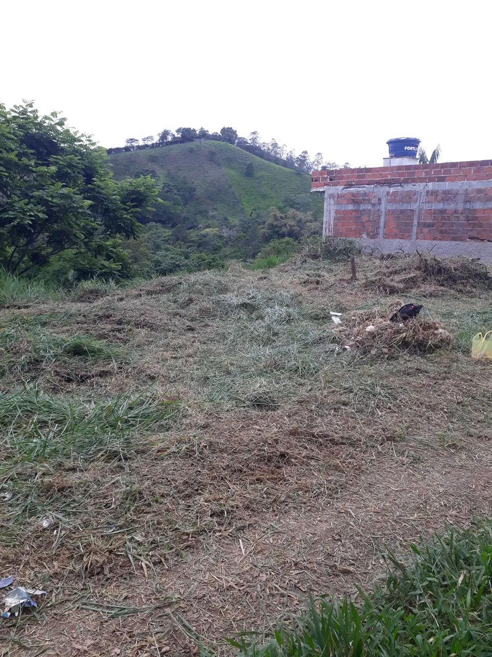 Foto - São José dos Campos - Freitas