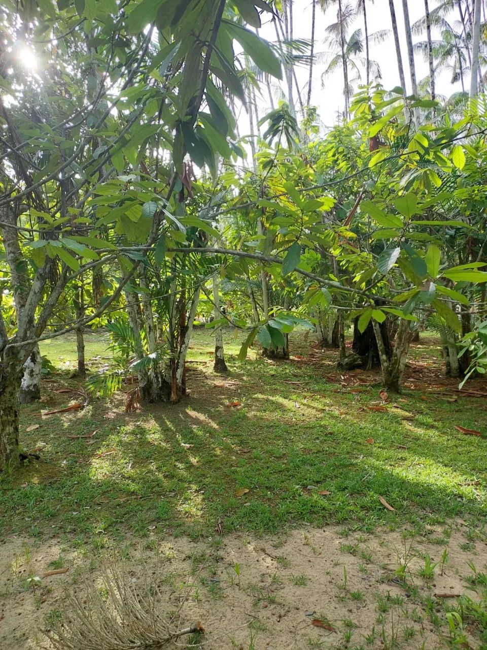 Venda de terreno rural  - Foto 3