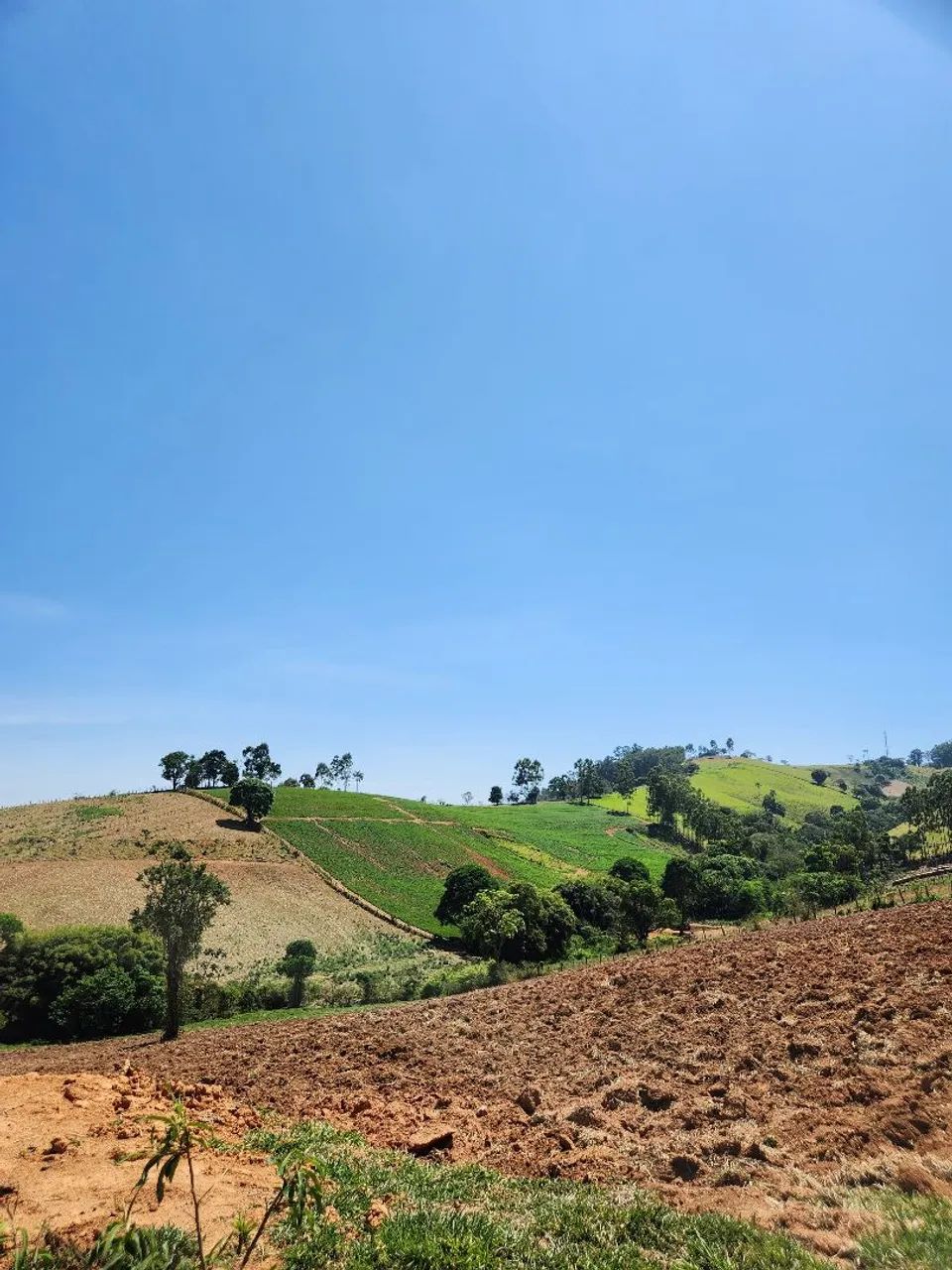 ? LOTES DE CHÁCARA EM SOCORRO/SP ?