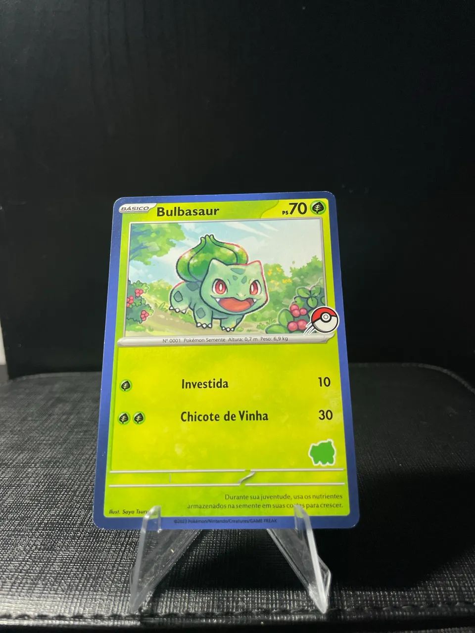 Bulbasaur  - Foto 3