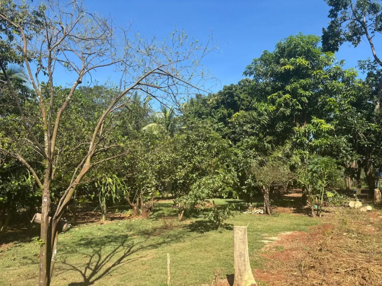 Rancho em Boracéia - Foto 5