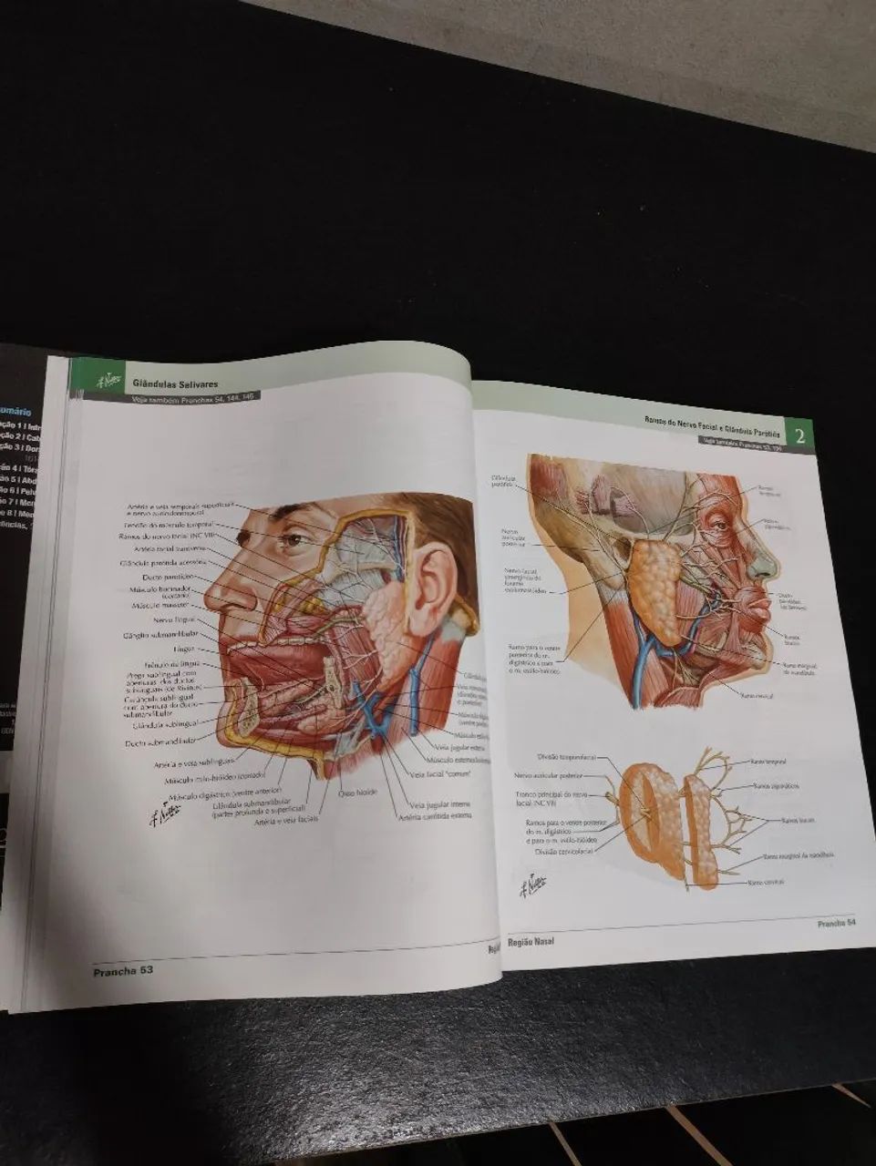 NETTER ANATOMIA 7° EDIÇÃO  - Foto 4