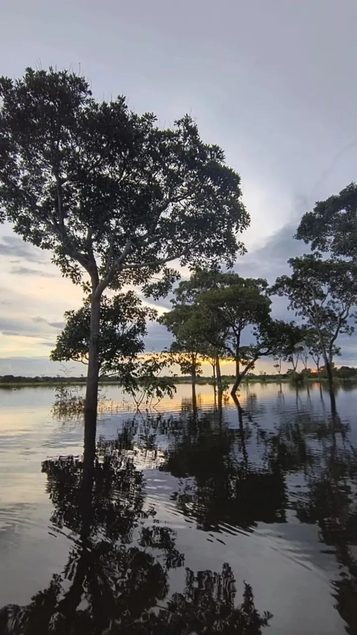 Aluga-se Ou Vende se , Rancho no Rio Caiapó em Araguacema. - Foto 2