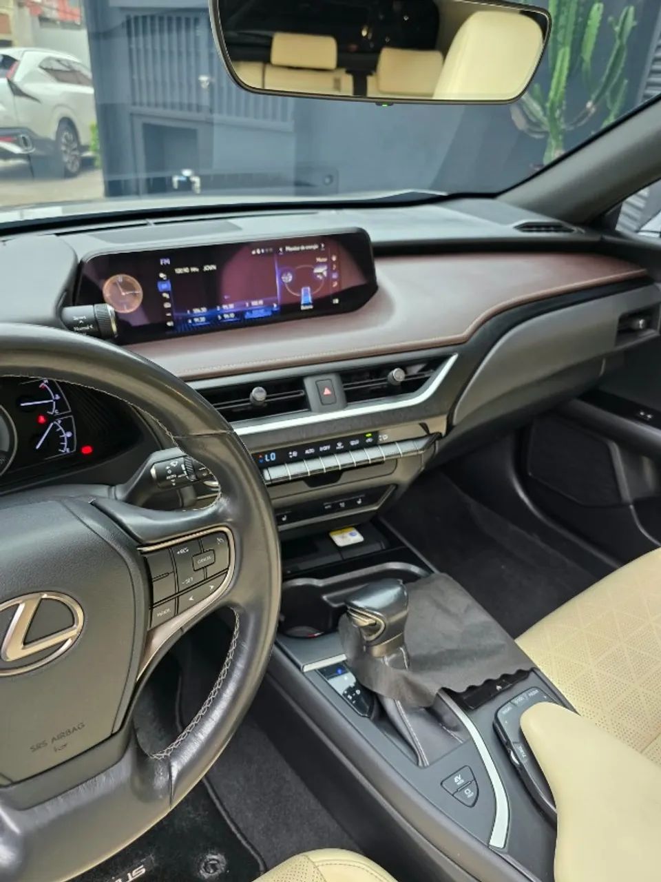 Lexus UX-250h Luxury 2.0 16V Aut.(hybrid), foto 12 de 19