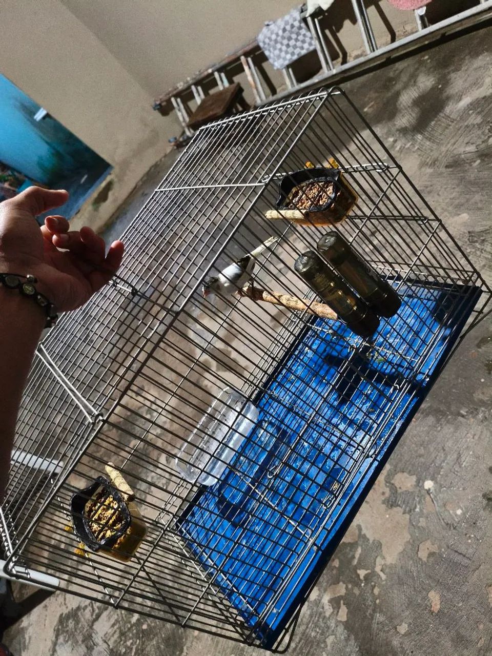 Gaiola boa  - Foto 2