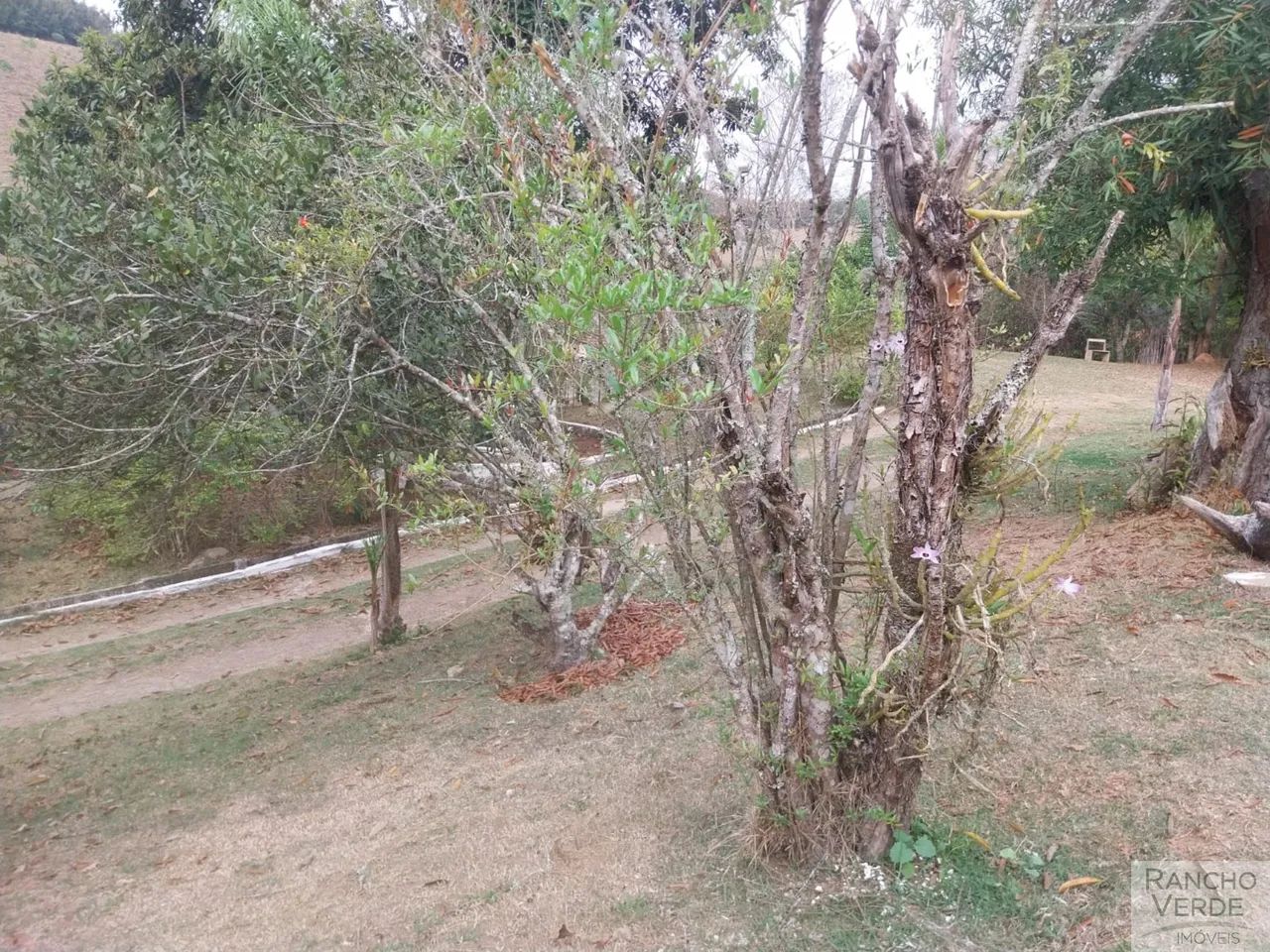 CHÁCARA RURAL em PARAIBUNA - SP, ITAPEVA - Foto 3