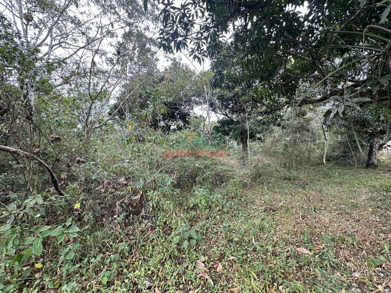 Gleba entre 788,98M² A 2509.85M² com documentação, localização privilegiada e pa - Foto 4