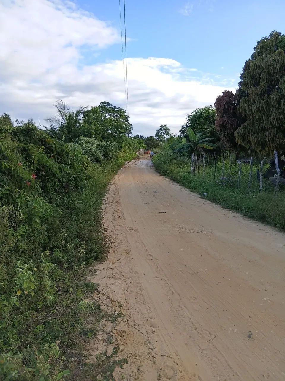 Vendo terreno de 16 por 137 de comprimento no povoado branquinhas Santo amaro das brotas  - Foto 2