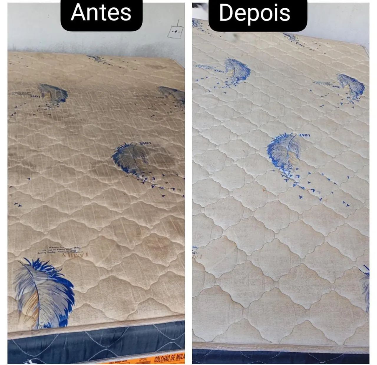 Ideal clean são Gabriel da cachoeira  - Foto 3