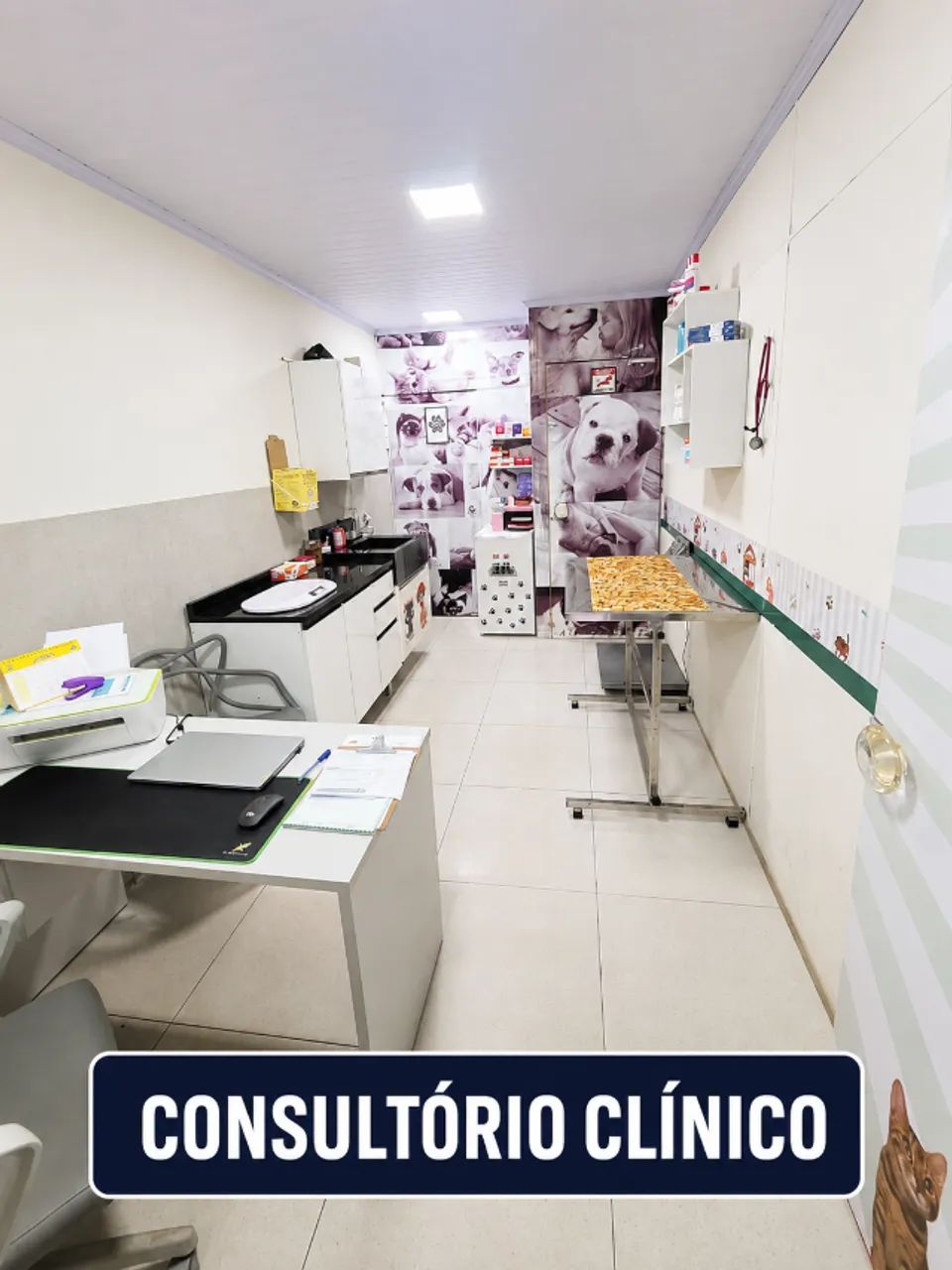 CLÍNICA VETERINÁRIA NO GUARÁ 2 - Foto 11