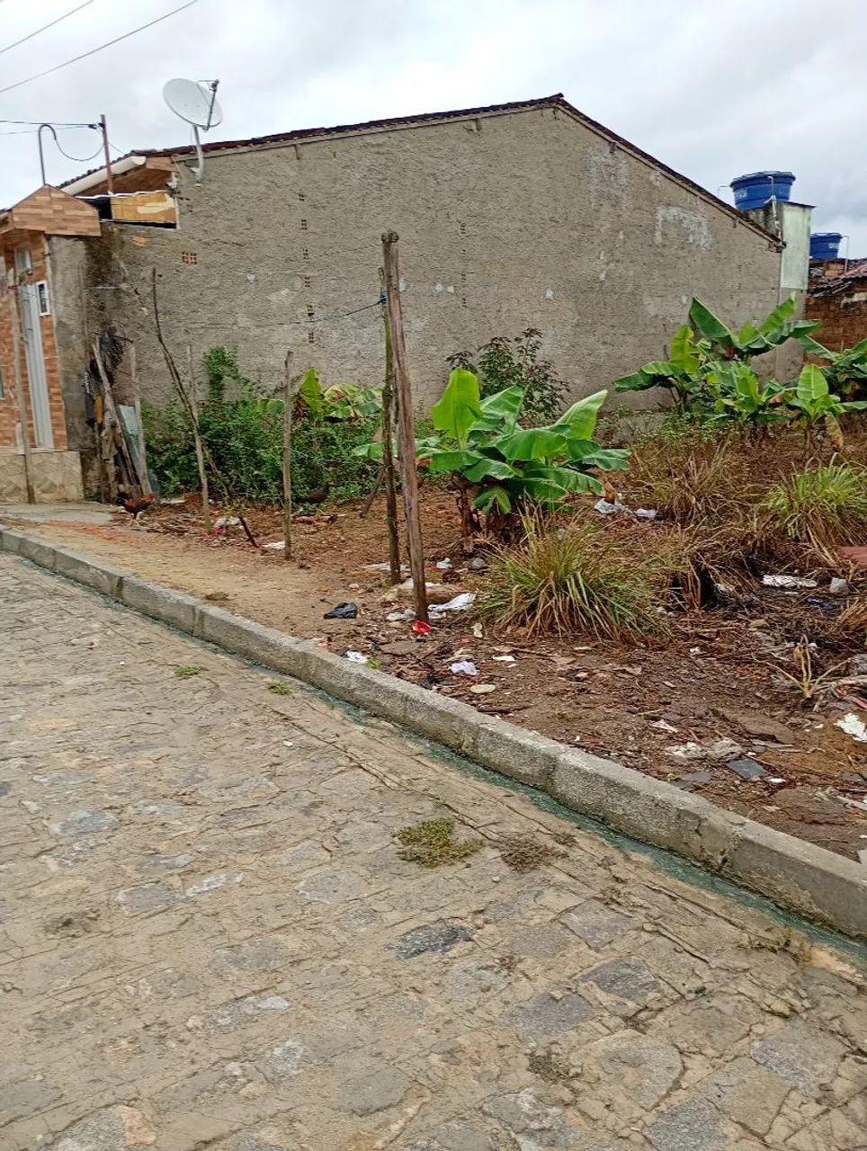 Terreno em matriz de camaragibe  - Foto 2