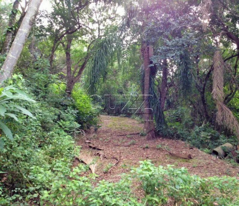 Terreno Comercial no Araçá, Florianópolis - Foto 3