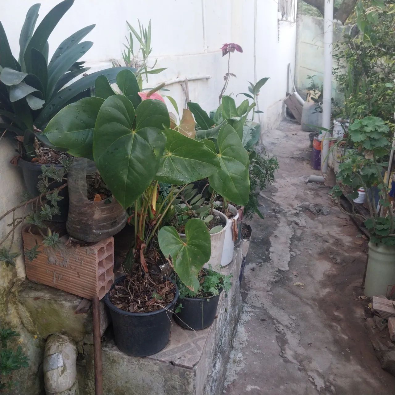 Vendo ou troco lote com 2 casas