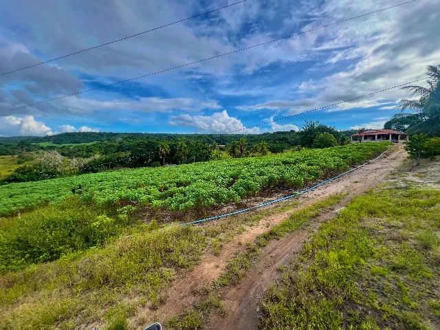 Excelente Sítio com 30 hectares, em Mamanguape,  multa água, rio perene - Foto 3