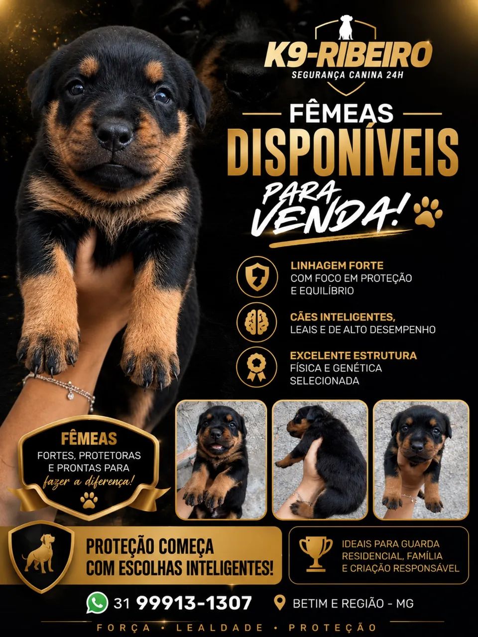 Rottweiler 