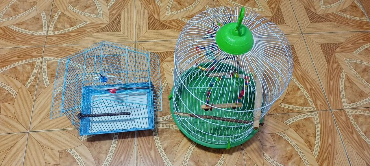 Gaiola para pássaros  - Foto 3