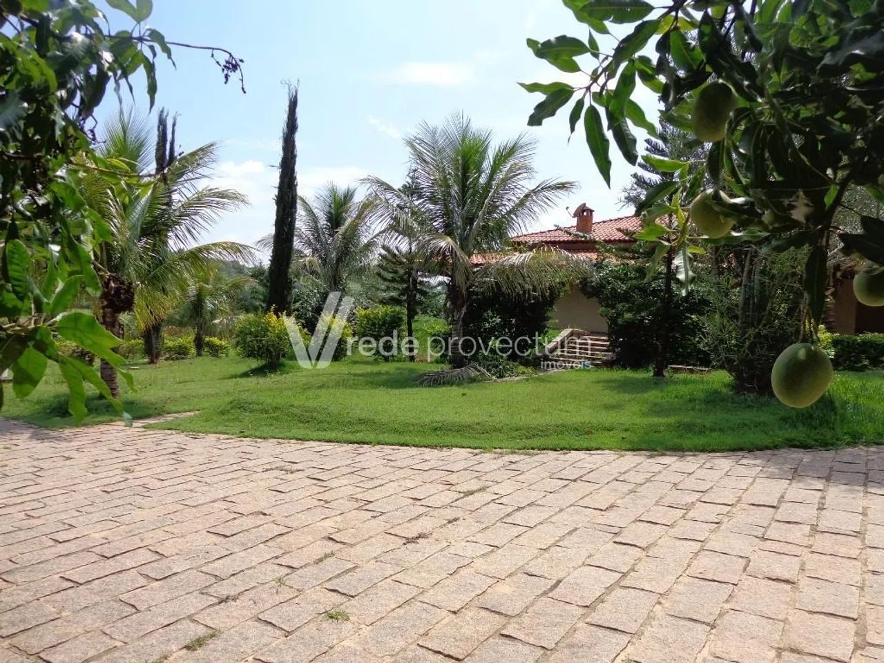 sítio - Sousas - Campinas - Foto 2