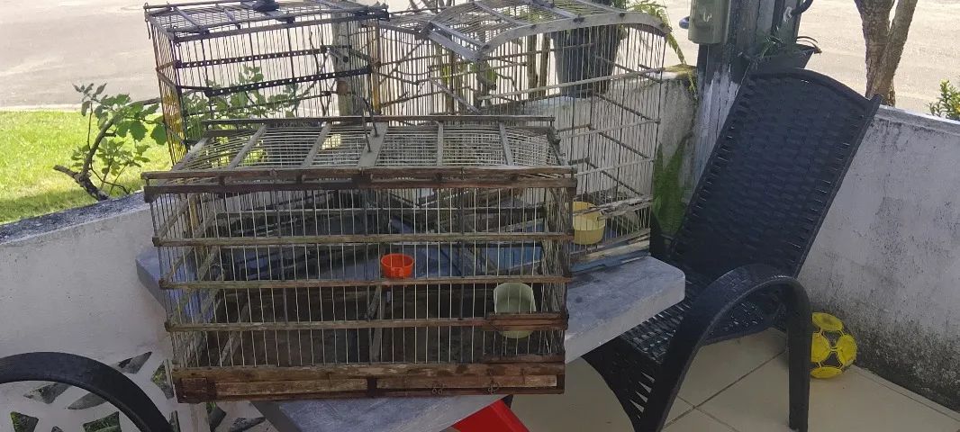 4 gaiolas em bom estado  - Foto 3